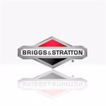 Imagen de categoría BRIGGS