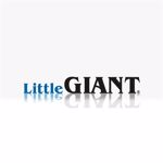 Imagen de categoría LITTLE GIANT