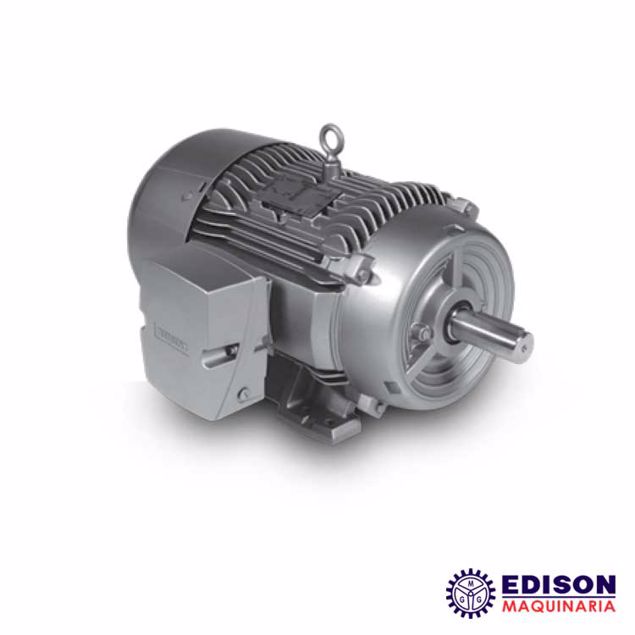 Imagen de MOTORES SIEMENS 3F USO GENERAL 1750 RPM NEMA PREMIUM