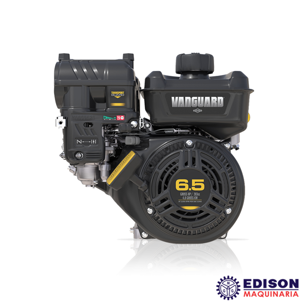 Imagen de MOTOR BRIGGS & STRATTON VANGUARD 200